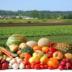 FRUIT AND VEG WHOLESALER IN STAFFORD